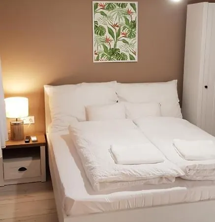 Rigo Apartment *